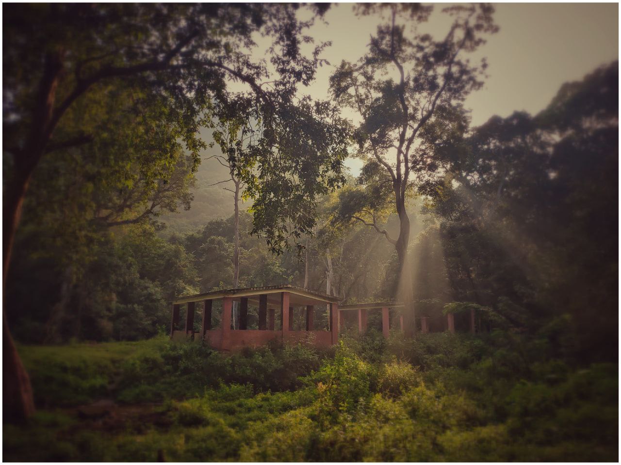 sun-rise
