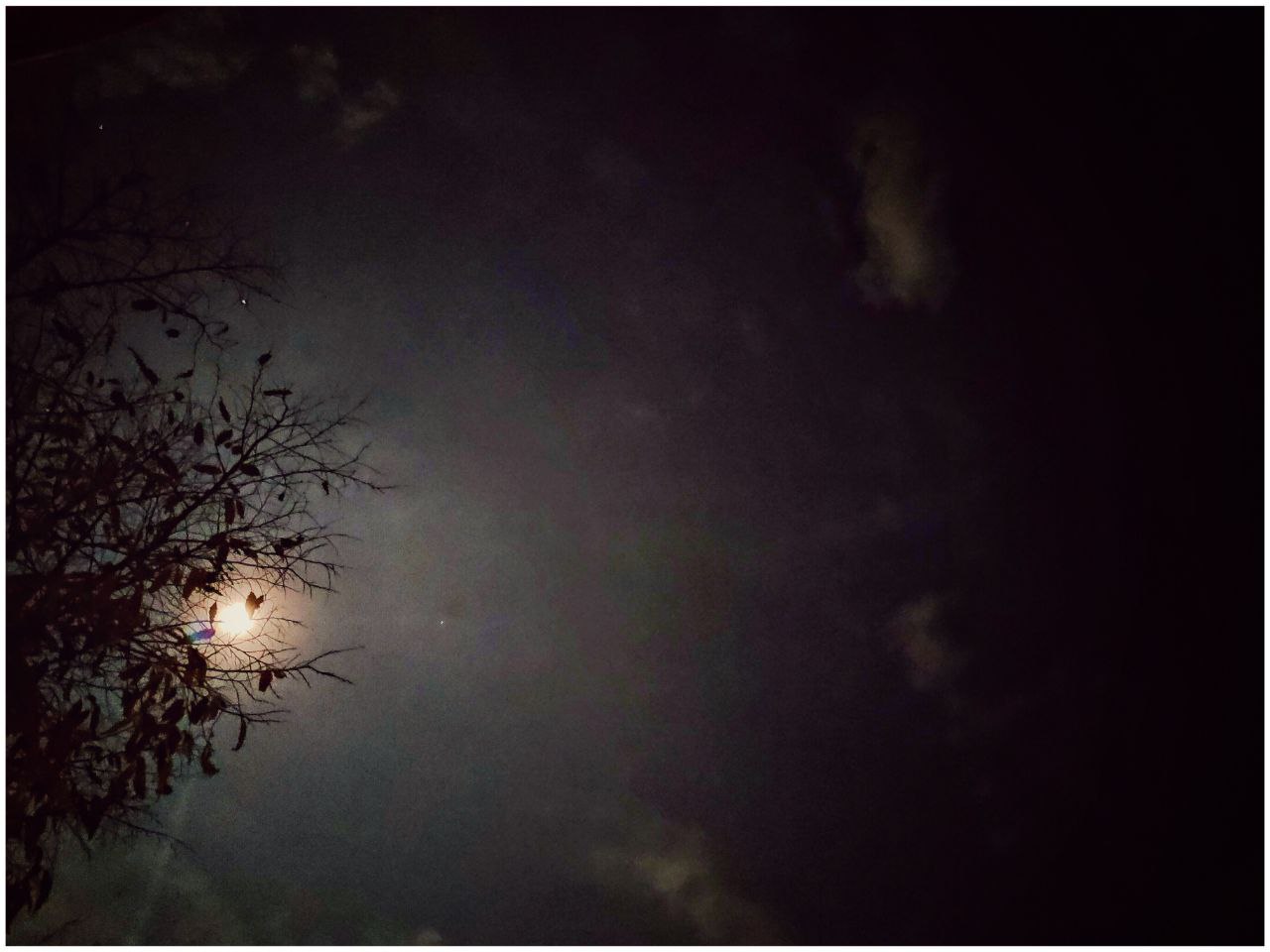 night-moon